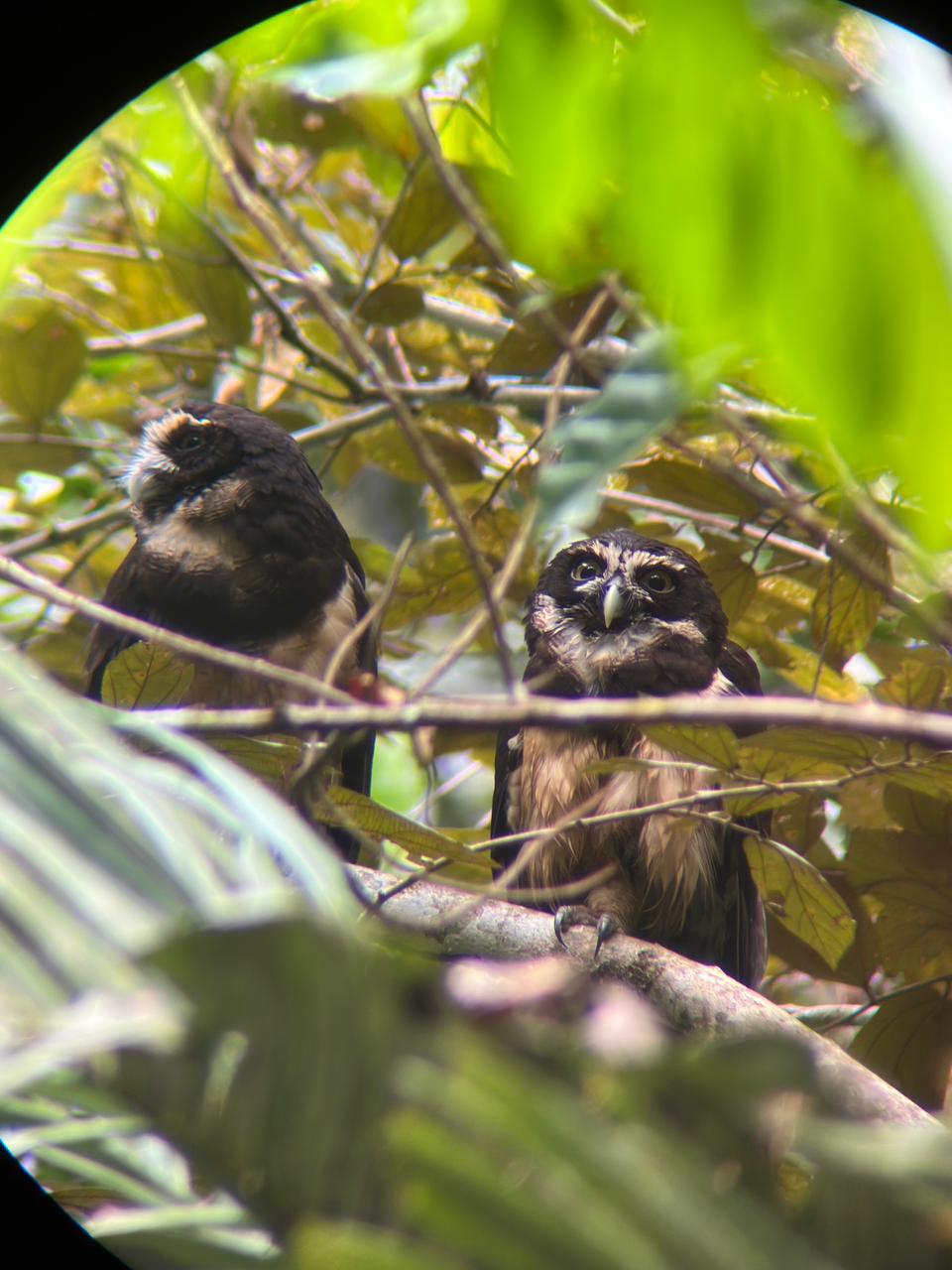 Wildlife tour photo
