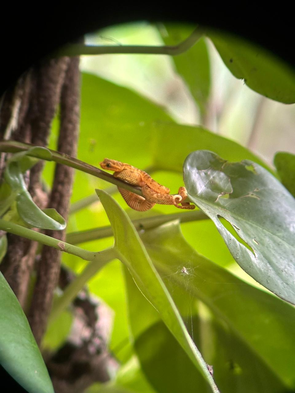 Wildlife tour photo