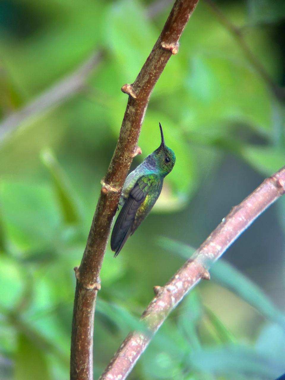 Wildlife tour photo