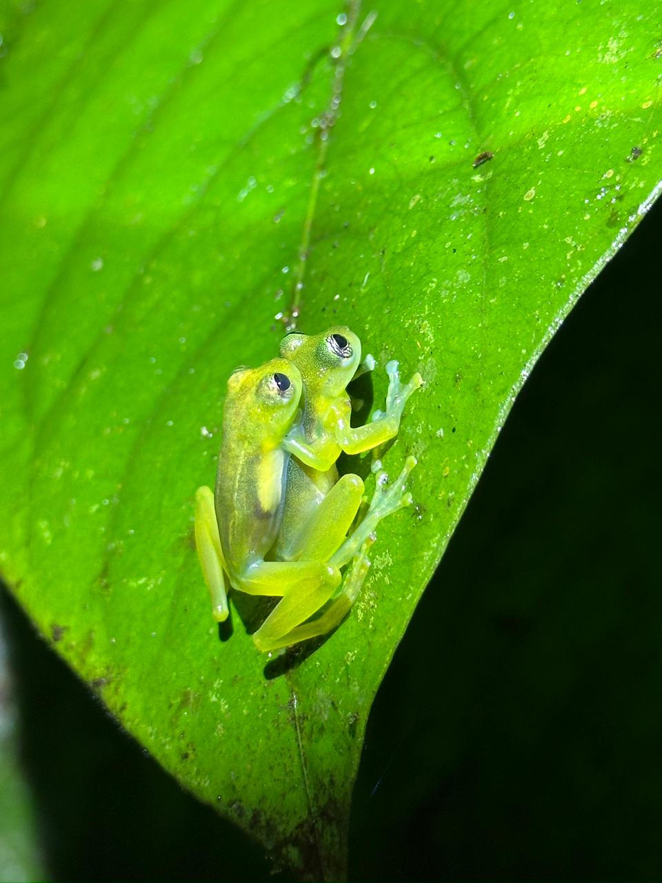 Wildlife tour photo