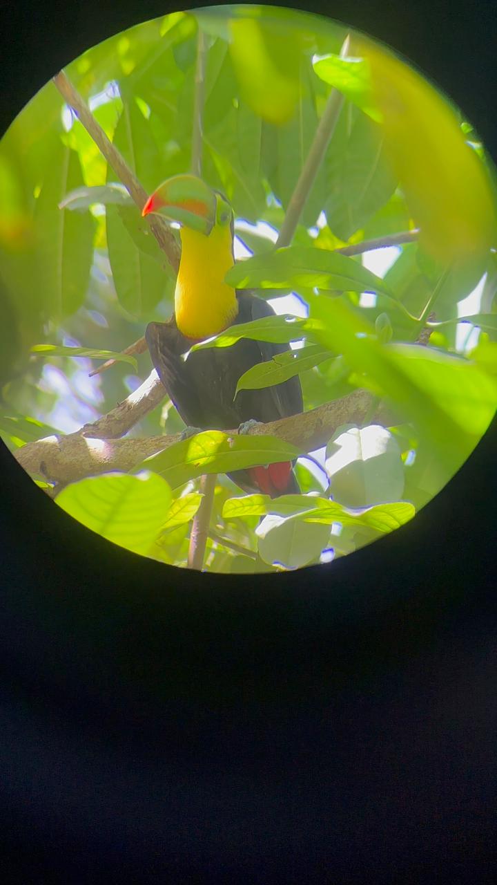 Wildlife tour photo