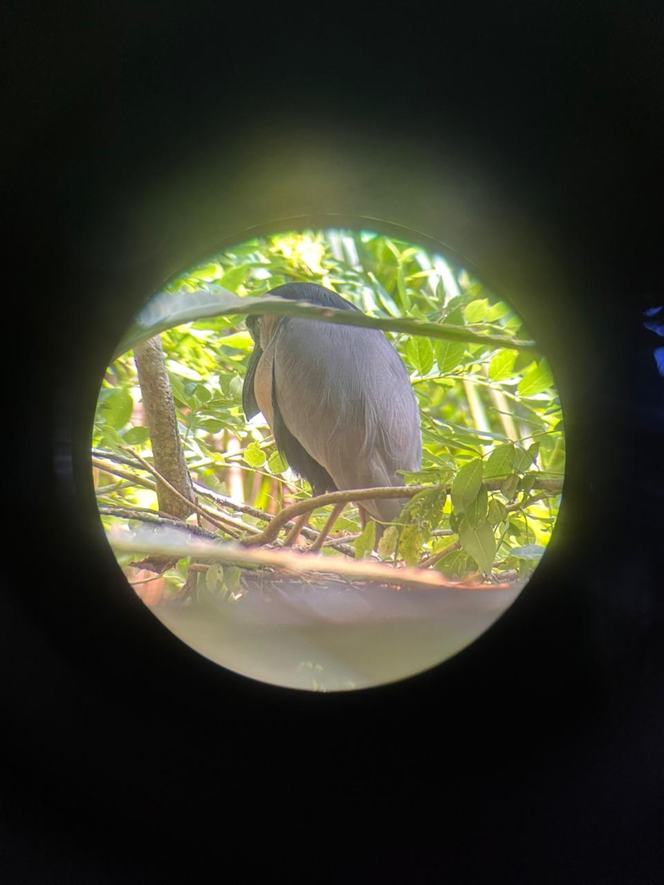 Wildlife tour photo