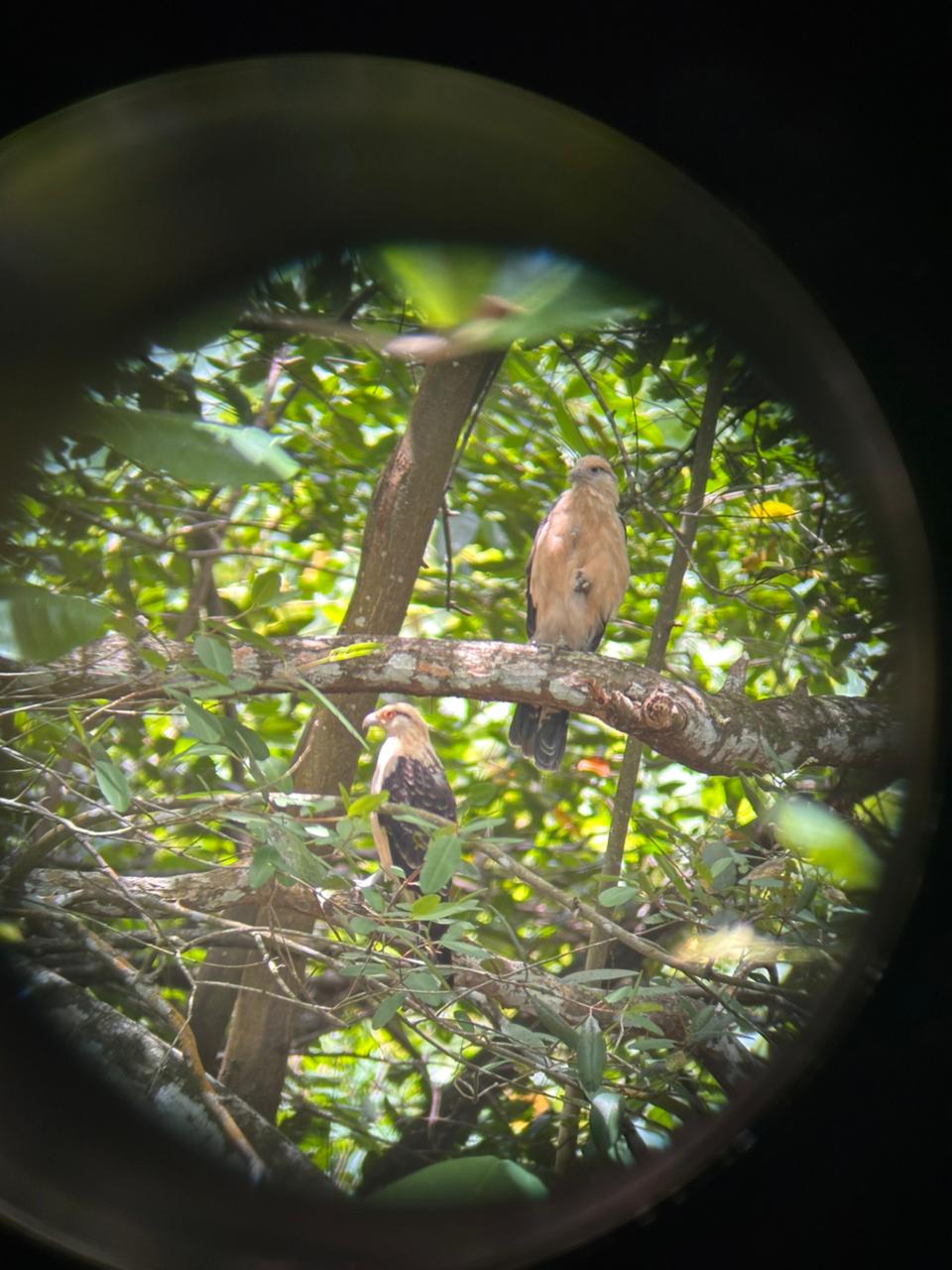 Wildlife tour photo