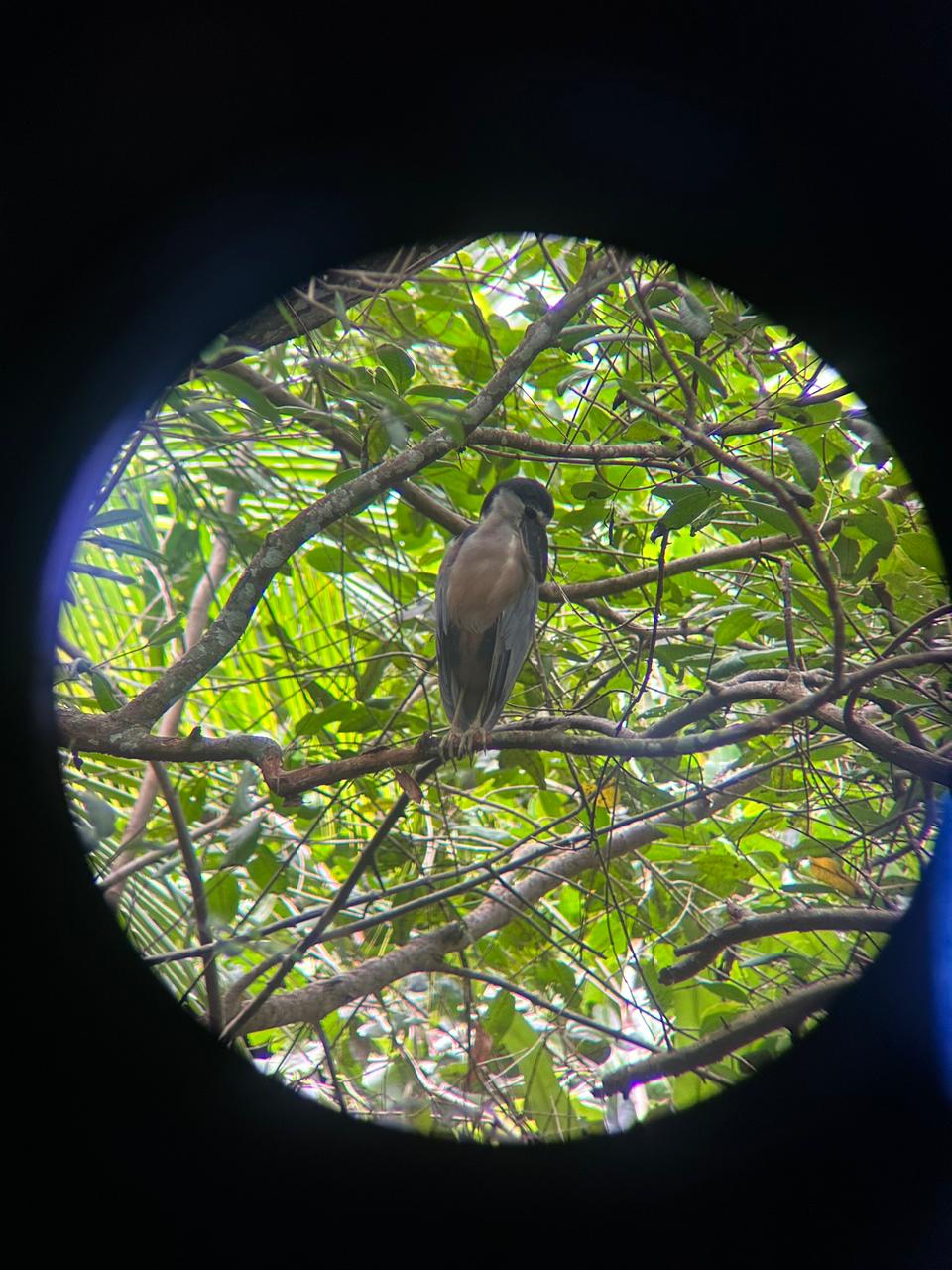 Wildlife tour photo
