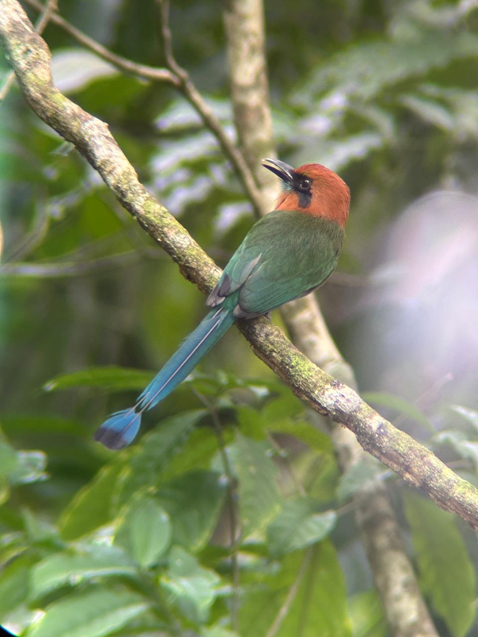Wildlife tour photo