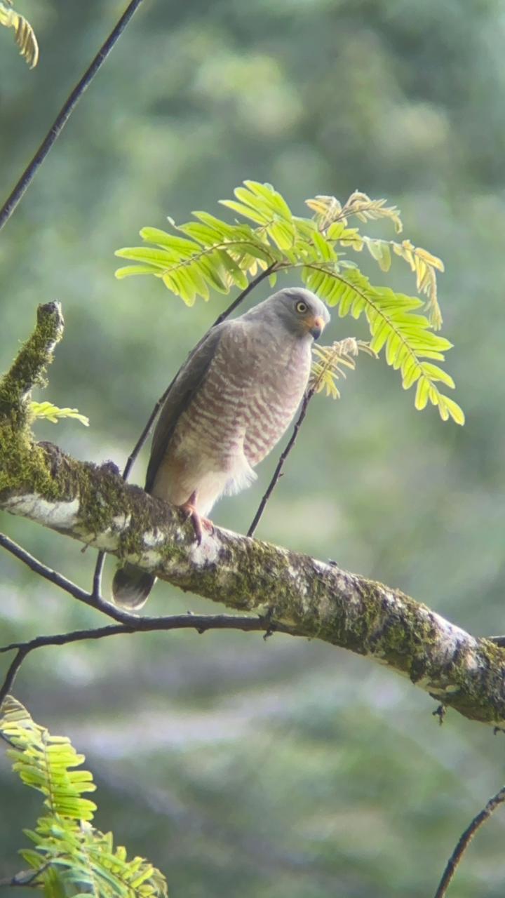 Wildlife tour photo