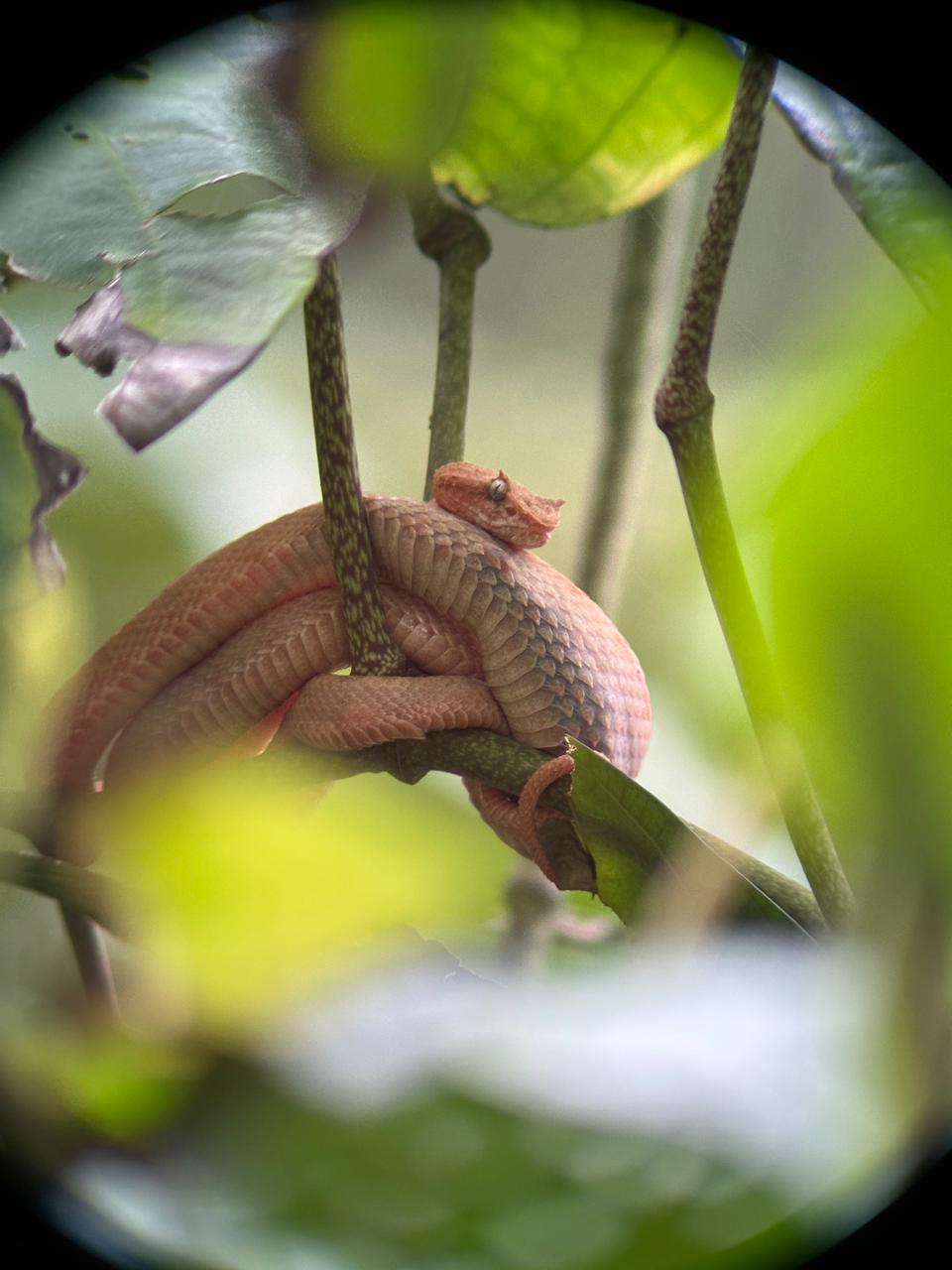 Wildlife tour photo