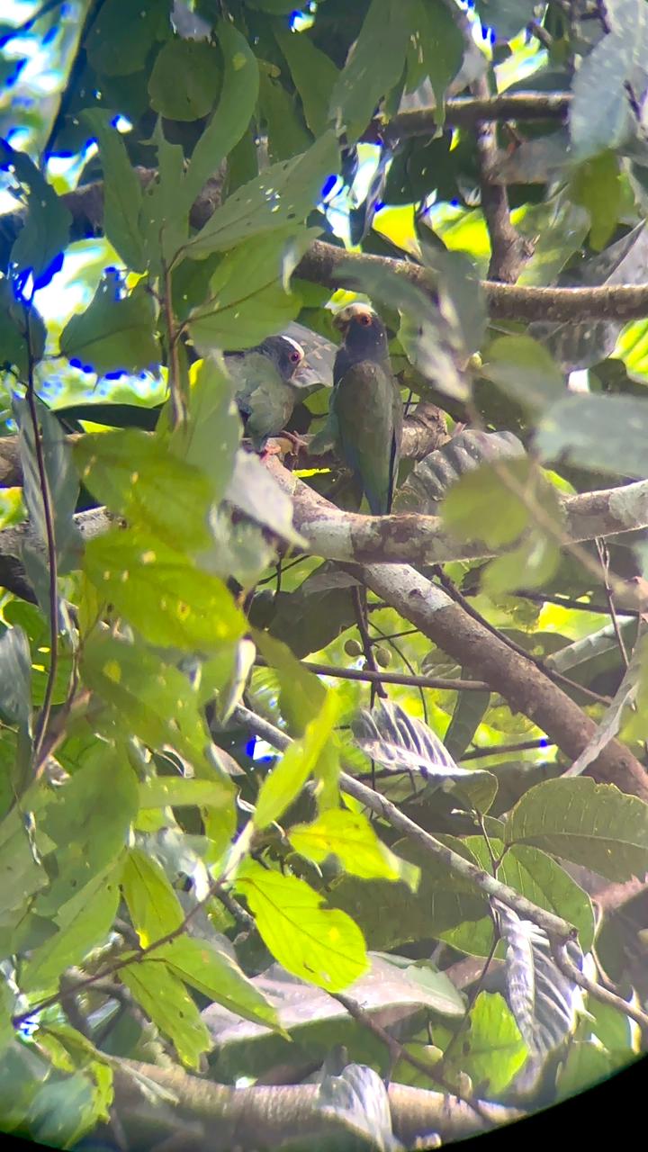 Wildlife tour photo