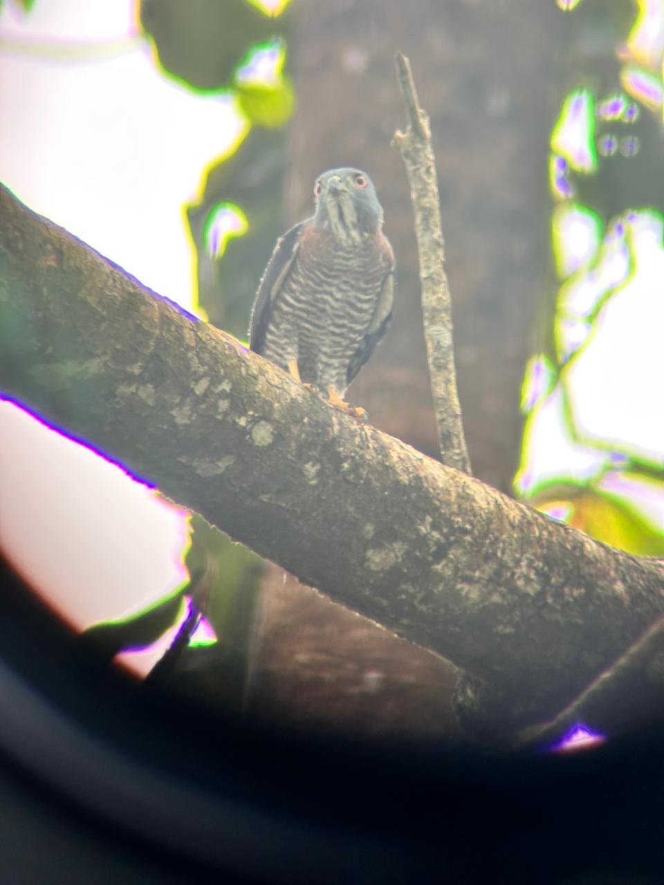 Wildlife tour photo