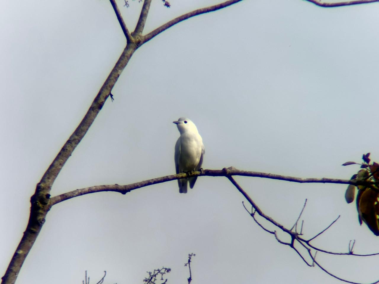 Wildlife tour photo