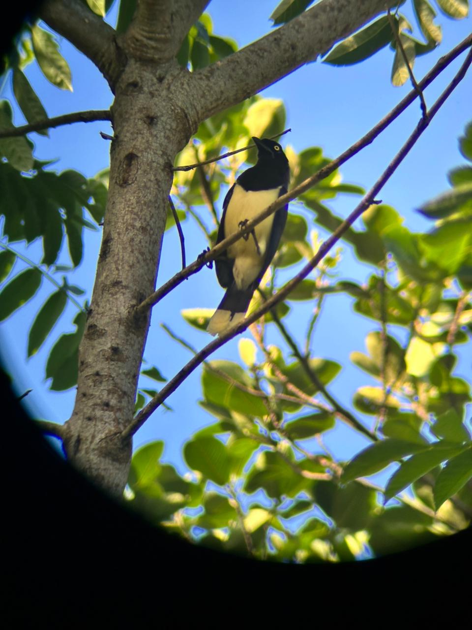 Wildlife tour photo