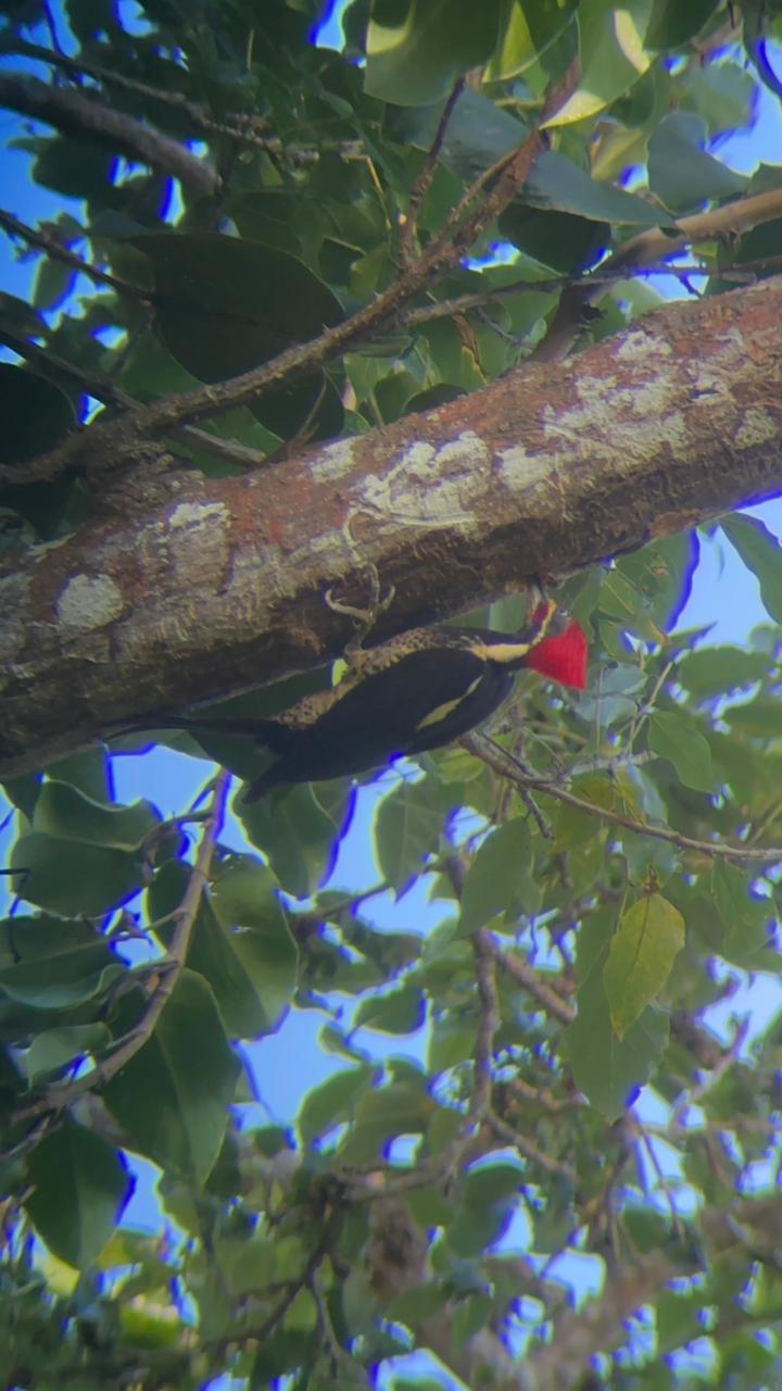 Wildlife tour photo