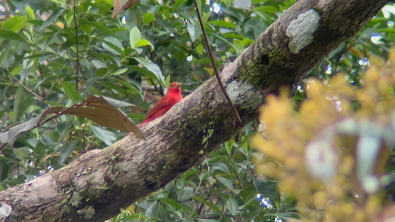Wildlife tour photo