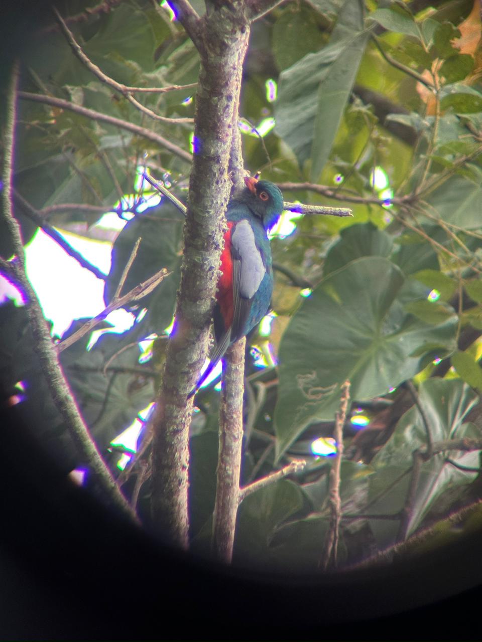 Wildlife tour photo