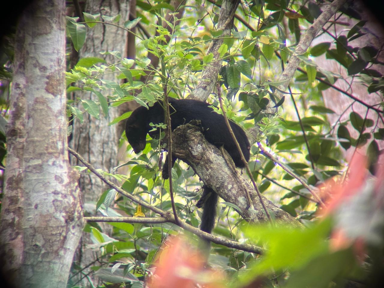 Wildlife tour photo