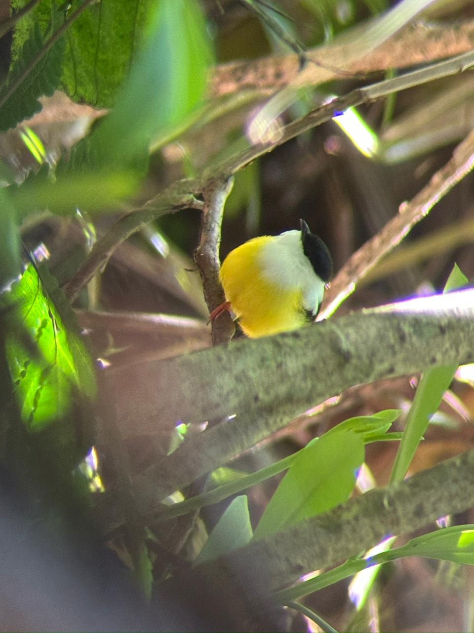 Wildlife tour photo