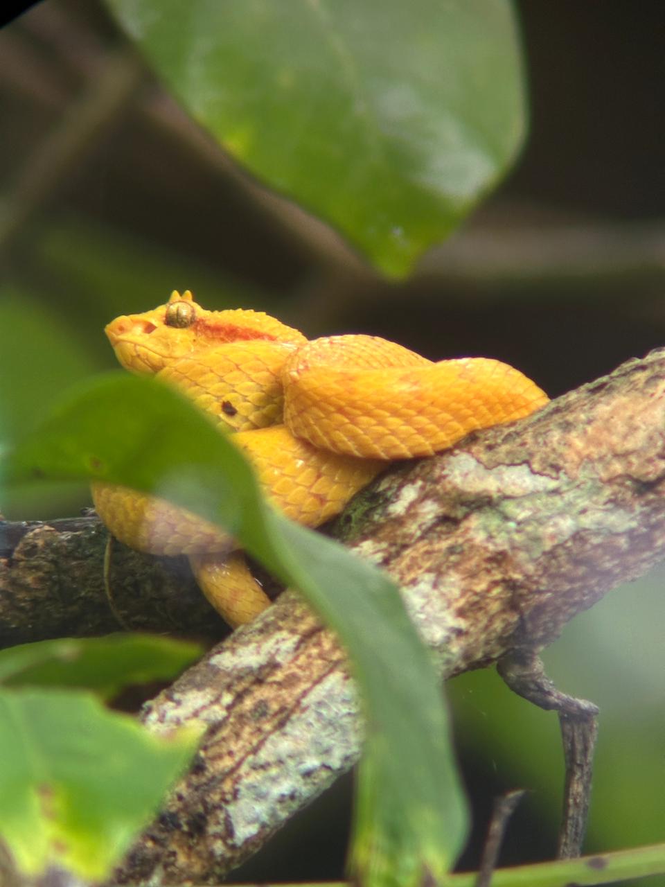 Wildlife tour photo