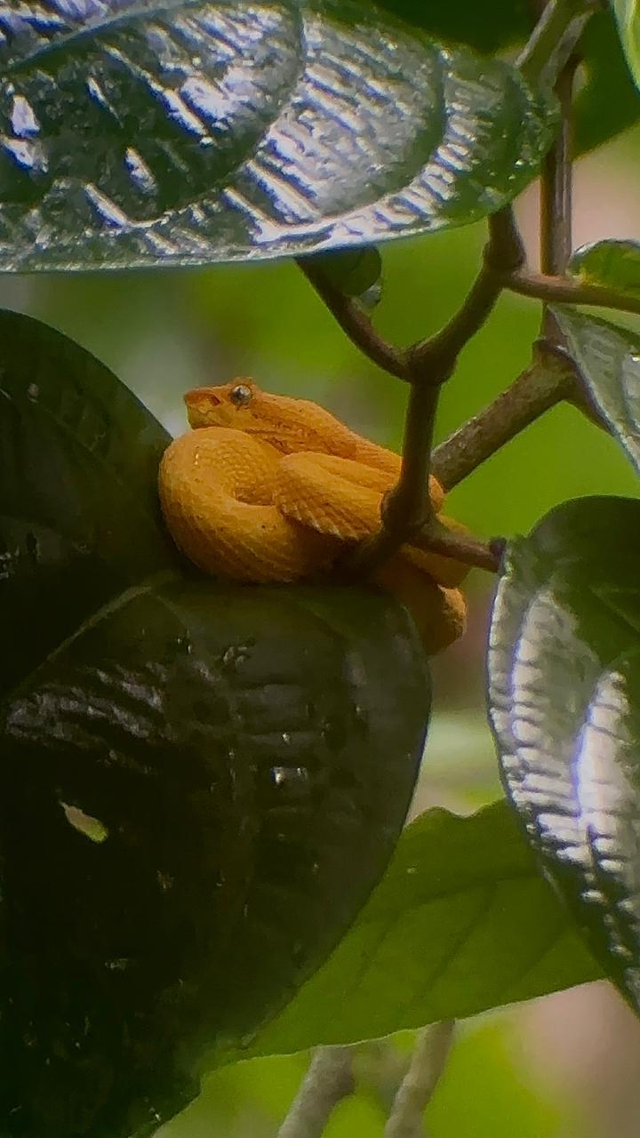 Wildlife tour photo