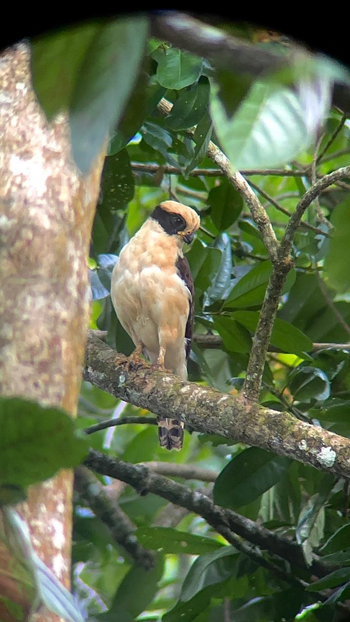 Wildlife tour photo