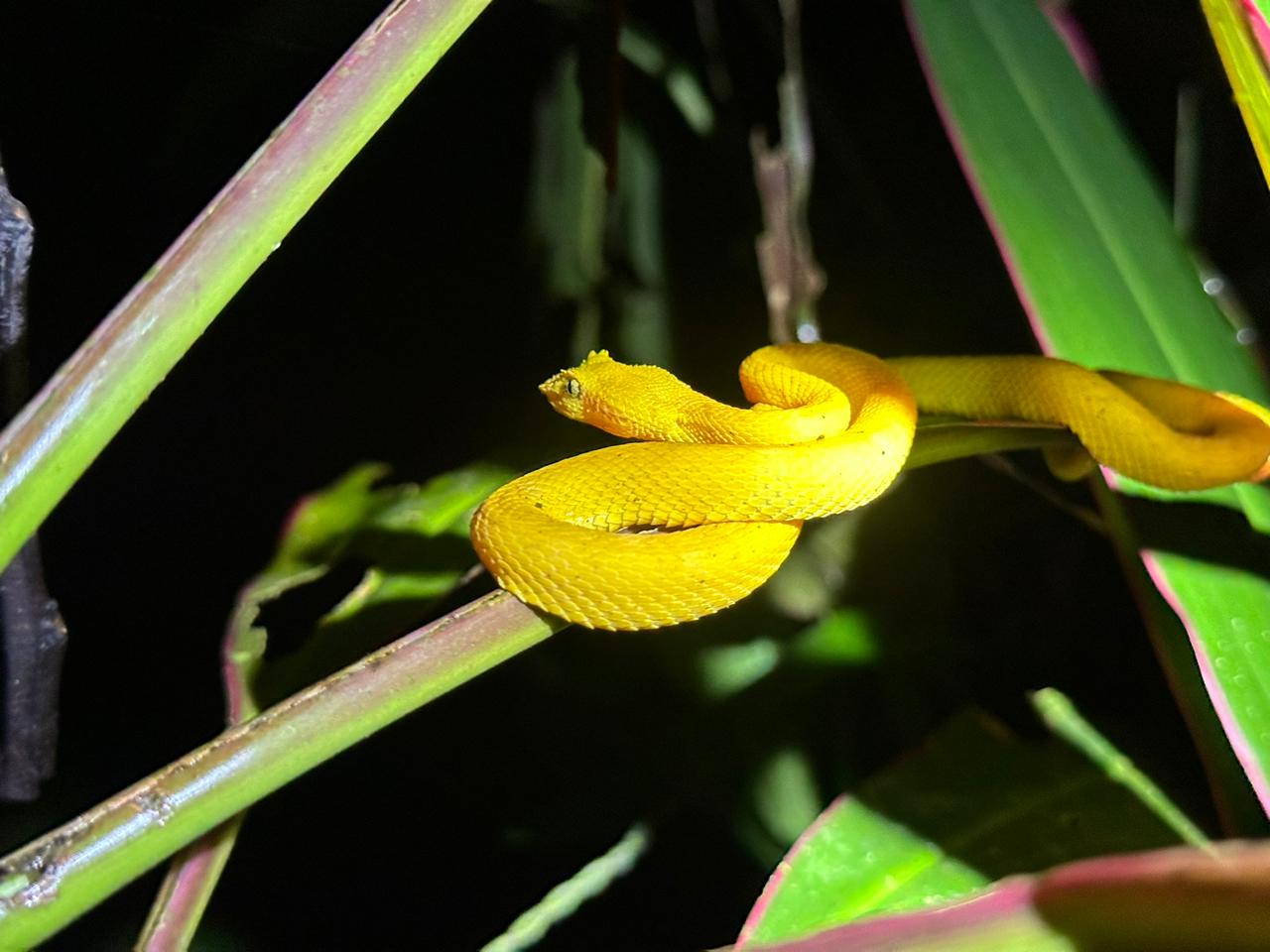 Wildlife tour photo