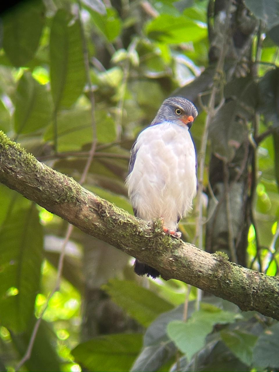 Wildlife tour photo