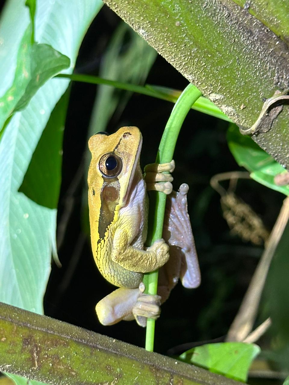 Wildlife tour photo