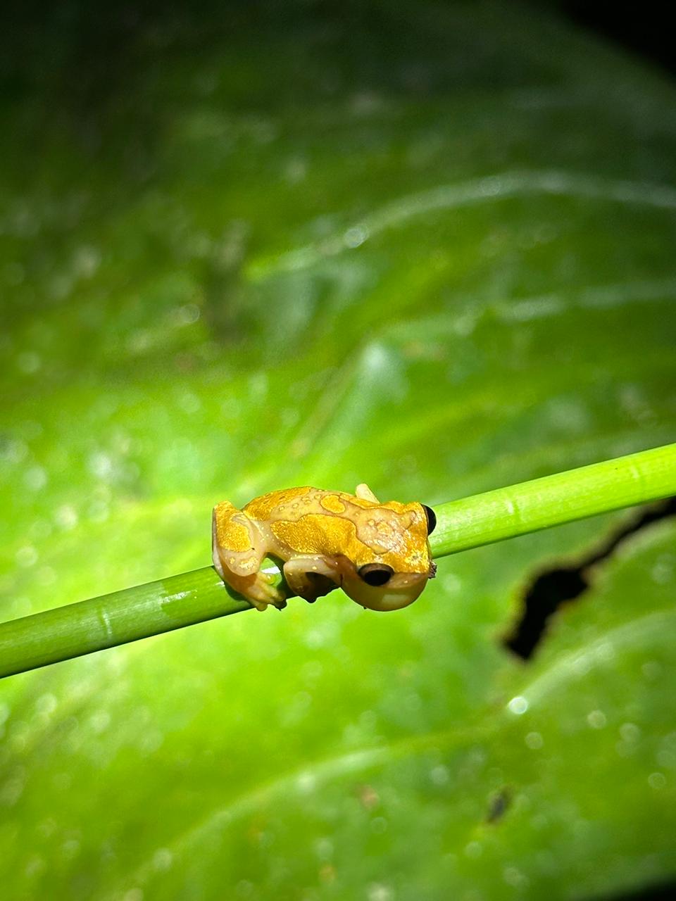 Wildlife tour photo