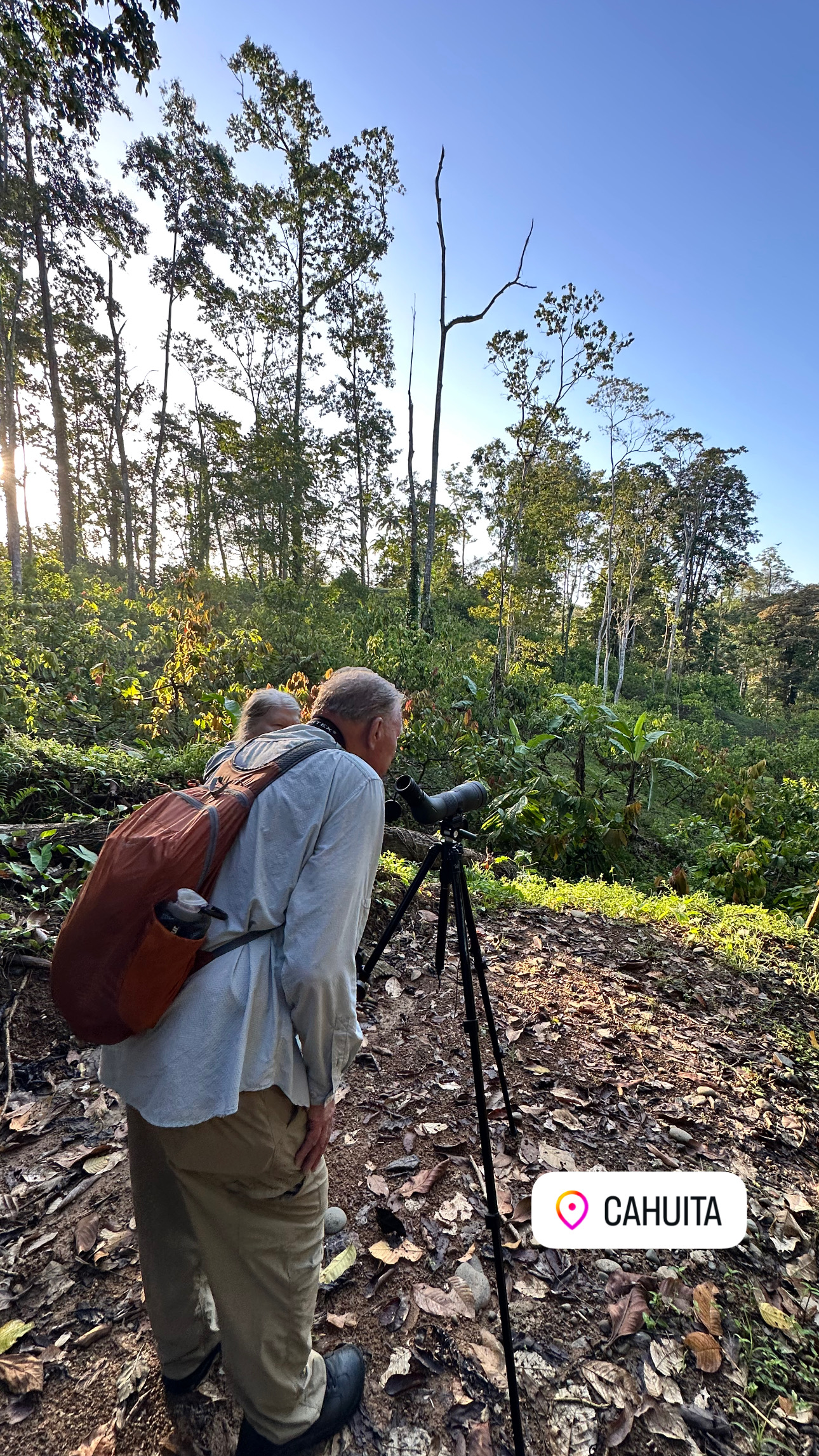 Alonso guide birdwatching in Cahuita