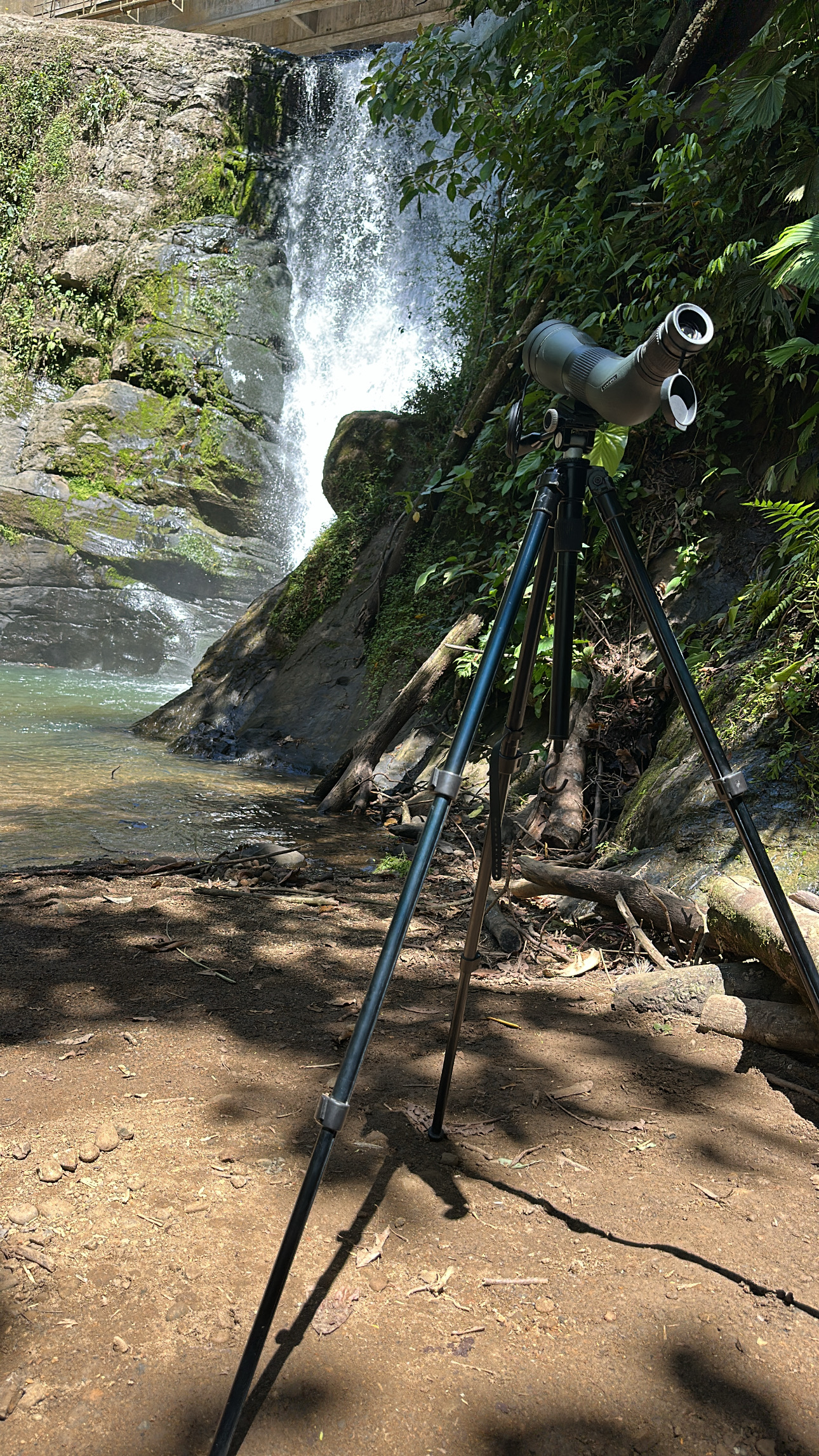 Telescope birdwatching Costa Rica
